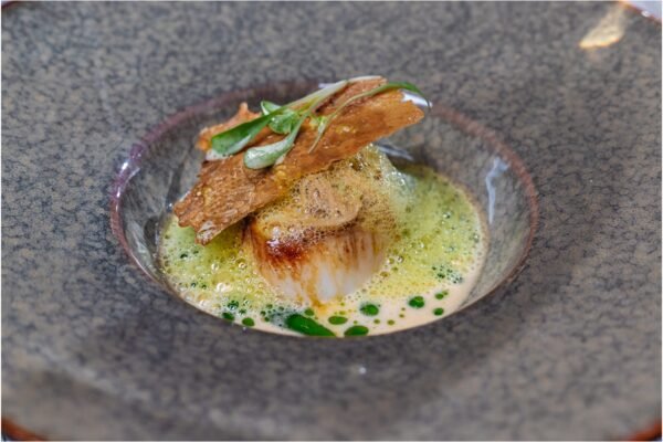 food photography_0007 tasty seafood dish luxury chef the rum fox